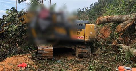 Lelaki Indonesia Maut Dihempap Pokok Balak Harian Metro