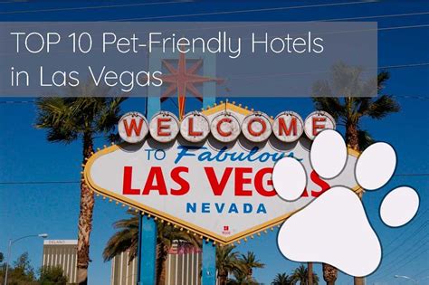 TOP 10 Pet-Friendly Hotels in Las Vegas in 2023