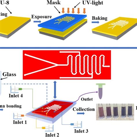 Schematic Illustration Of The Fabrication Process Of The Microfluidic