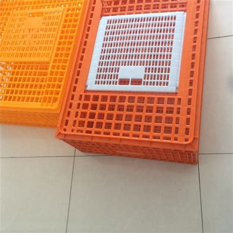 Live Chicken Poultry Carrier Crate Plastic Poultry Transport Crates