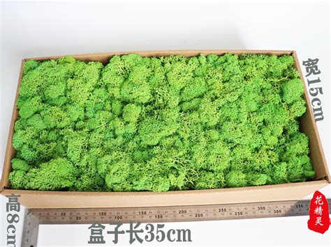 永生花苔藓花材盒装500g家居装饰苔藓墙diy材料珊瑚草工厂批发 阿里巴巴