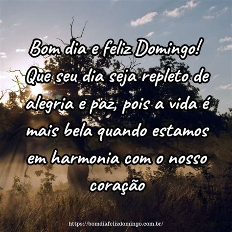 Mensagem Whatsapp Feliz Domingo Mensagens De Bom Dia Explore A