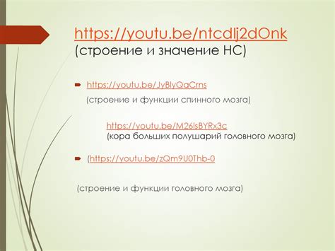 Анатомия человека Нервная система Тестирование ЕНТ базы 2021 2022 уч