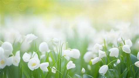 This Is A Green Tulip Background Plant Petal Nature Background Image