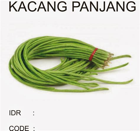 KACANG PANJANG