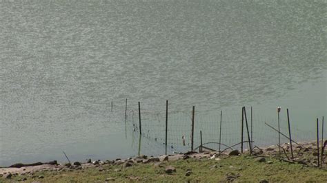 Arcgisa garantiza la potabilidad del agua ante la aparición de