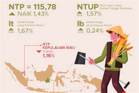 Bps Nilai Tukar Petani Pada Oktober Naik Persen Antara News