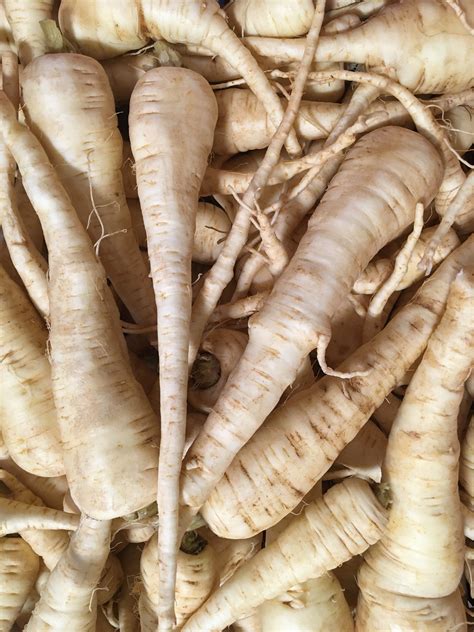 Parsnips, organic 500g - TapRoot Farms