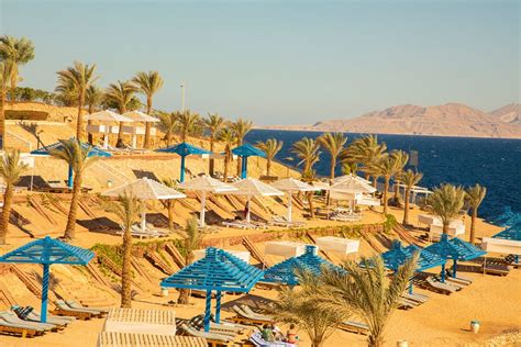 Grand Oasis Resort Updated 2021 Prices And Hotel Reviews Sharm El