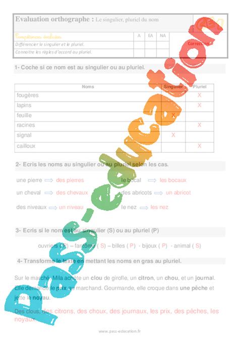 Le Singulier Pluriel Du Nom Au Ce Valuation Bilan Pdf Imprimer