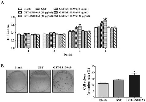 S100a9 Promotes The Proliferation And Invasion Of Hepg2 Hepatocellular