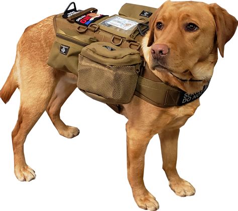 Tactical Dog Molle Vest Harness Training Dog Vest With Detachable