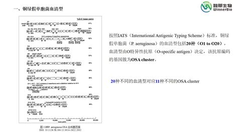 【课程】铜绿假单胞菌基因组研究综合分析实战 细菌基因组研究 密码子学院 生物科研技能学习平台