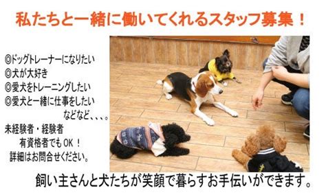 犬のしつけ教室cocoro スタッフを募集いたします。 今日もこころは犬日和 犬のしつけ教室・犬のようちえんcocoroスタッフブログ