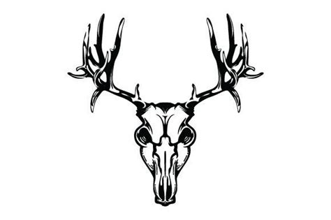 1 Mule Deer Skull Vector Design Designs And Graphics