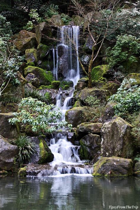 Portland Japanese Garden in Winter