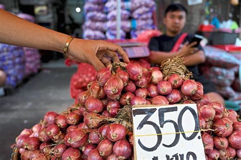 Egg Price Philippines 2024 Lilli Paulina