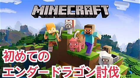 初めてのエンドラ討伐！初心者ハードモード【マインクラフト】 Youtube