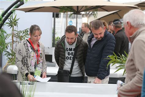 Photos Le Salon Habitat Et Bois D Pinal Fait Le Plein Ce Dimanche