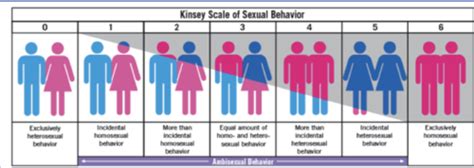 Sexual Orientation Transgender And Paraphilic Disorders Flashcards