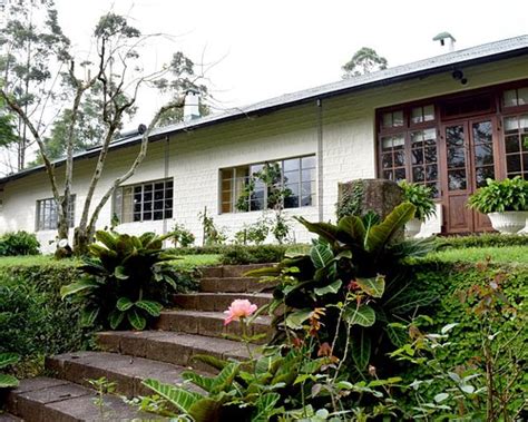 Binoya Tea Estate Bungalow Reviews Photos