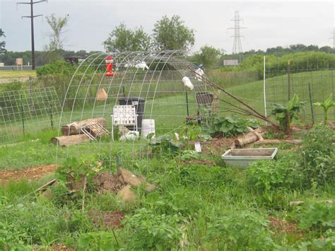 Community Garden Ideas | Homsgarden