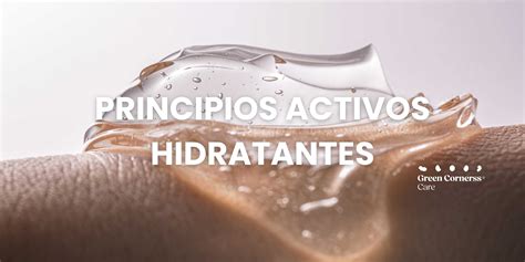 ¿cuáles Son Los Principios Activos Hidratantes Green Cornerss