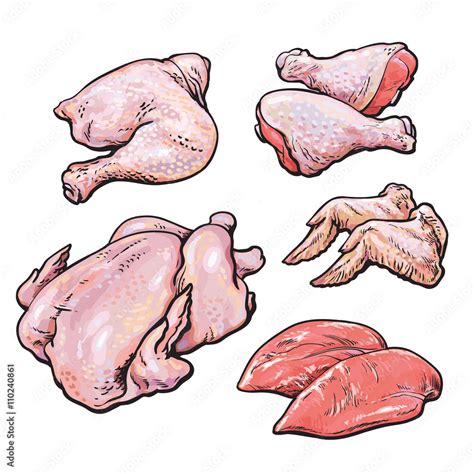 Chicken Meat Set Of Vector Hand Drawn Sketch The Types Of The Body