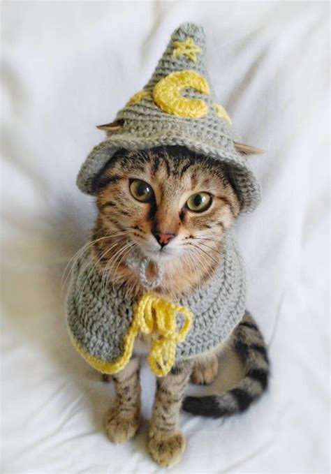 Wizard costume for cat, Wizard hat for cat, Wizard Pet costume in 2021 ...