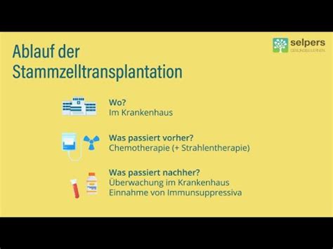 Ablauf einer Stammzelltransplantation einfach erklärt für Patient