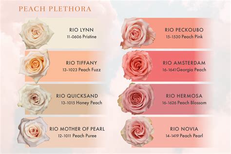 How Pantone Selects Their Color Of The Year Rio Roses