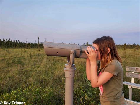 Things To Do At Big Bog State Recreation Area A Northern Mn Must See