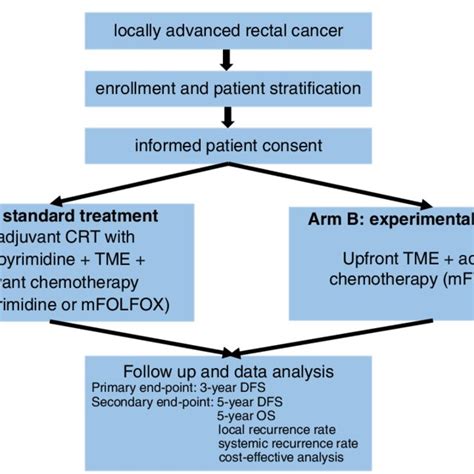 Flow Diagram Of The Trial Dfs Disease Free Survival Os Overall Download Scientific Diagram