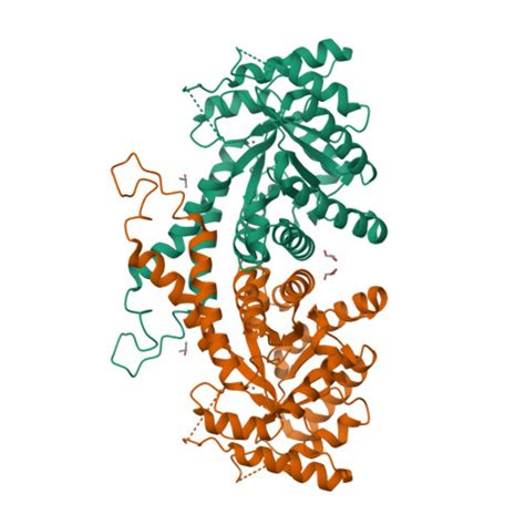 RCSB PDB 7RGN Crystal Structure Of Putative Fructose 1 6