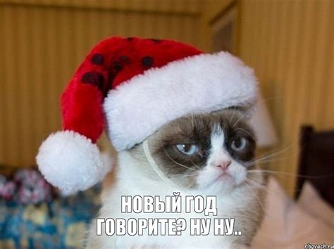 новый год говорите? ну ну.. , Мем Новогодний угрюмый кот - Рисовач .Ру