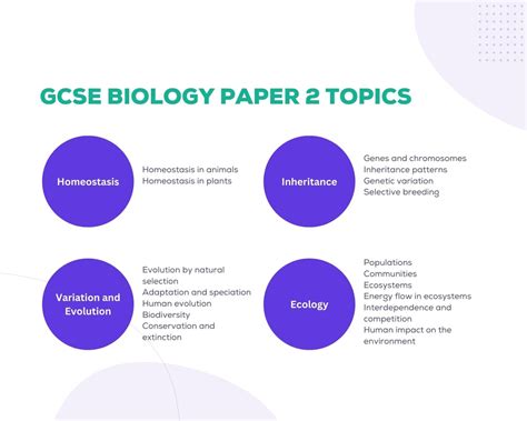 Gcse Biology Past Papers Edexce Aqa Ocr Edumentors