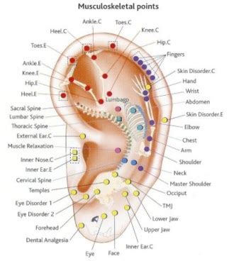 Self Growth Your Way How Auricular Therapy Works