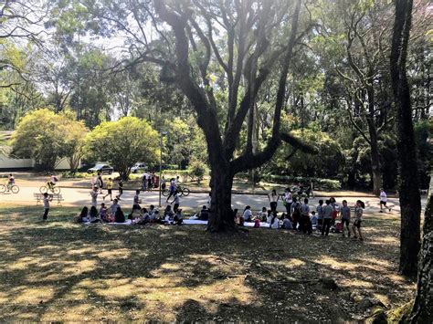 A Virada Sustentável nos parques municipais da zona Sul Notícias da