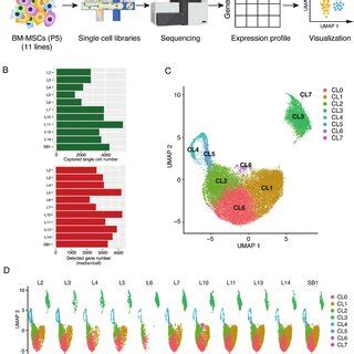 Single Cell Transcriptome Profiling Of 11 Bone Marrow BM Multipotent