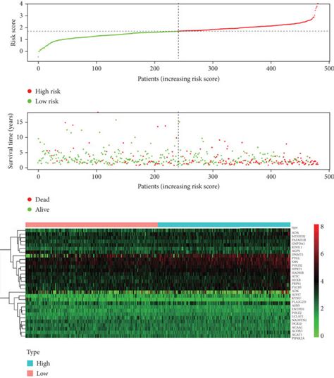 Detailed Prognostic Signature Information Of HNSCC Groups Is Visualized