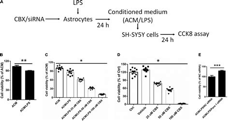 Frontiers Astrocyte Pannexin 1 Suppresses Lps Induced Inflammatory