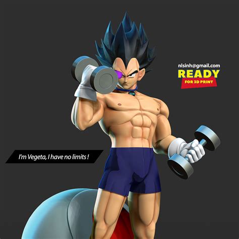 Vegeta With Gym 3D Model 3D Printable CGTrader