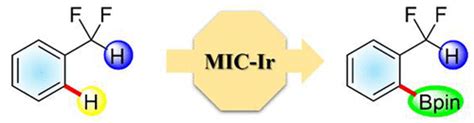 Ir Catalyzed Ortho Selective CH Borylation Of Difluoromethyl Arenes