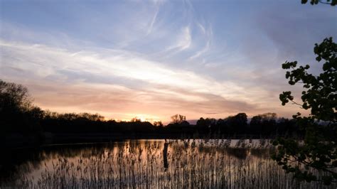 Free Images Landscape Tree Nature Horizon Marsh Cloud Sky