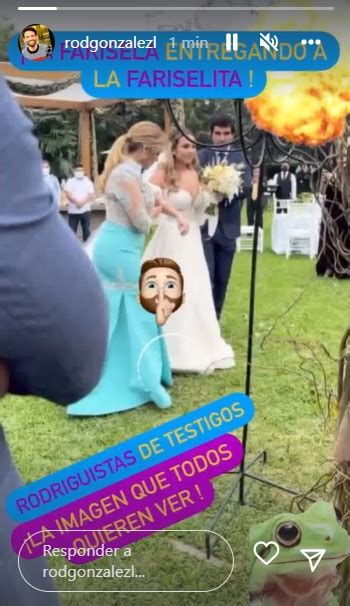 Ethel Pozo Y Julián Alexander Todo Los Detalles De La Boda De La Hija