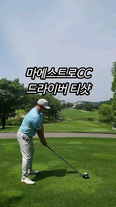 마에스트로cc 오랜만에 즐거운 라운딩 드라이버 잘맞는다 정현중프로 골프스윙 드라이버스윙 라운딩 필드 골프소통