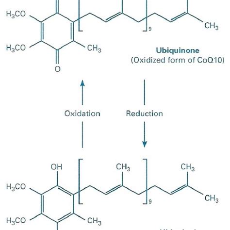 Chemical Structure Of Coenzyme Q10 In Its Two Redox Forms Download Scientific Diagram