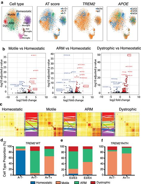 Microglia Subclusters Are Unique By Pathologic Characterization Download Scientific Diagram