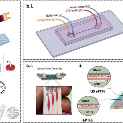 Evaluation Of The Hemocompatibility Of Synthetic Grafts A