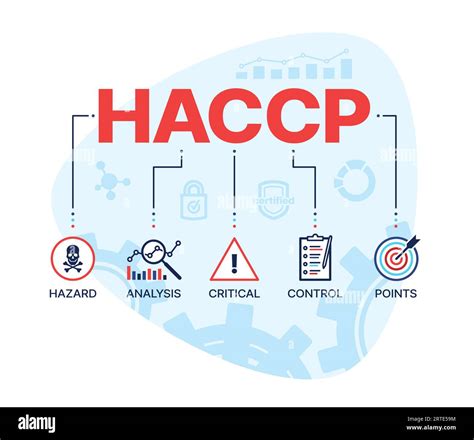 Haccp Hazard Analysis And Critical Control Points Vector Concept Food